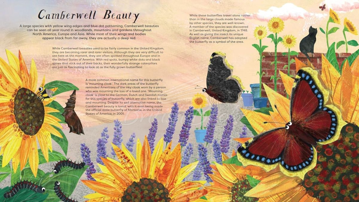 Книга National Trust: Butterfly Skies изображение 2