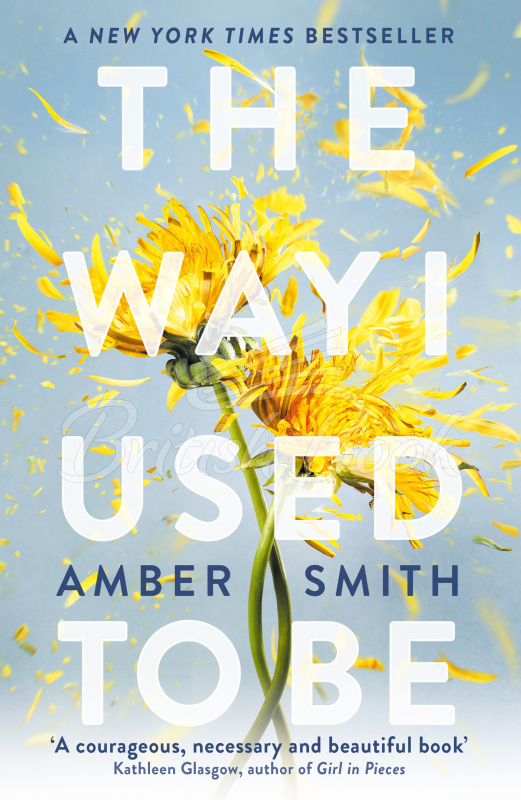 Книга The Way I Used to Be (Book 1) зображення