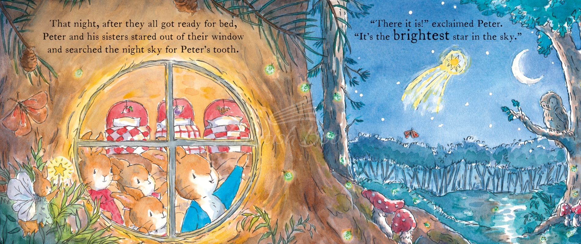 Книга Peter Rabbit: The Tooth Fairy зображення 5