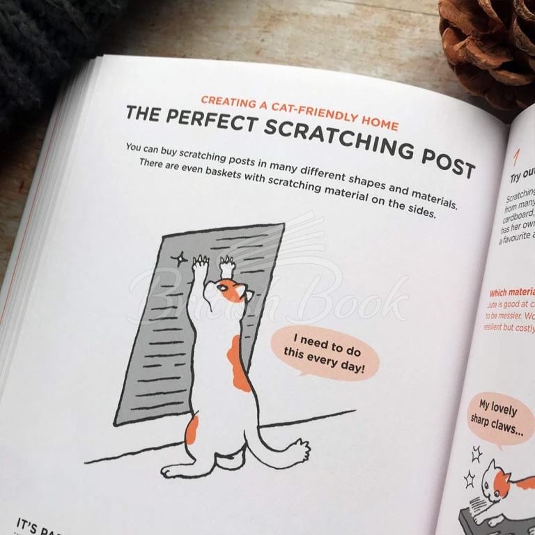 Книга What Cats Want: An Illustrated Guide for Truly Understanding Your Cat изображение 3