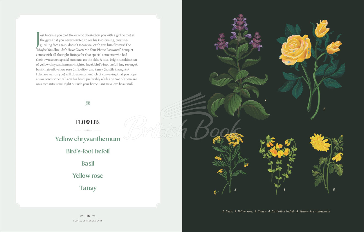 Книга Floral Estrangements:Taunt Your Rivals & Vanquish Your Enemies through the Language of Flowers зображення 15