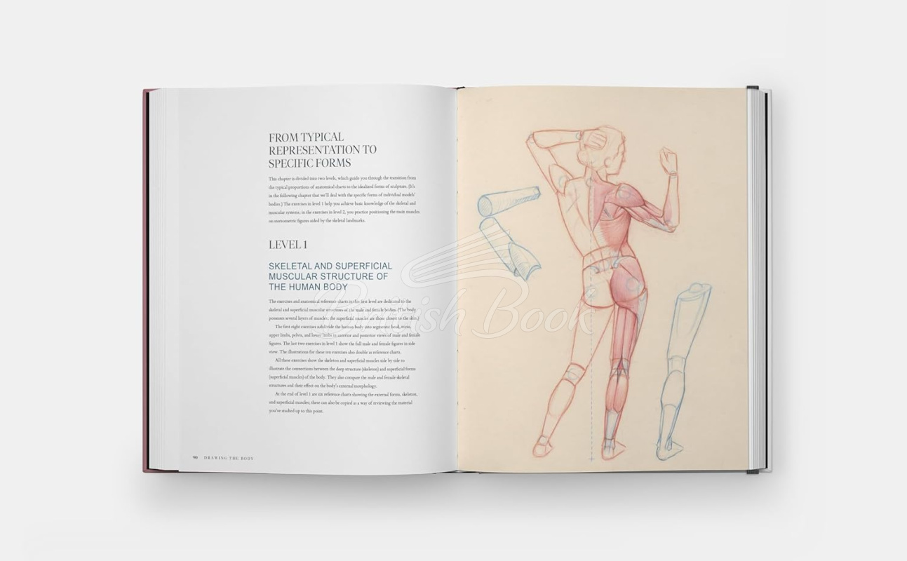 Книга Drawing the Body: Reading the Human Form in Art зображення 4