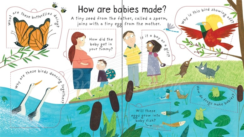 Книга Lift-the-Flap First Questions and Answers: Where Do Babies Come from? изображение 3
