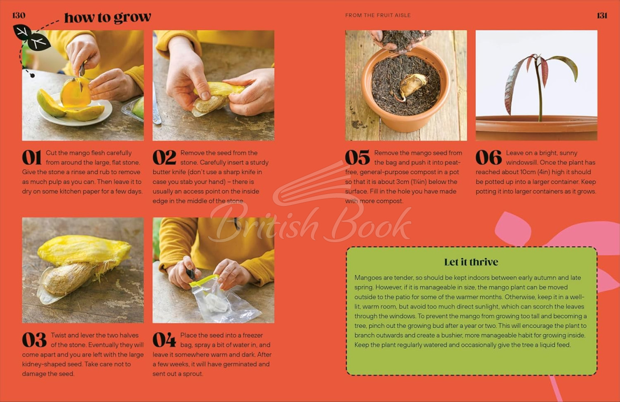 Книга Grow Your Groceries: 40 Hacks for Growing Plants from Your Weekly Shop зображення 7