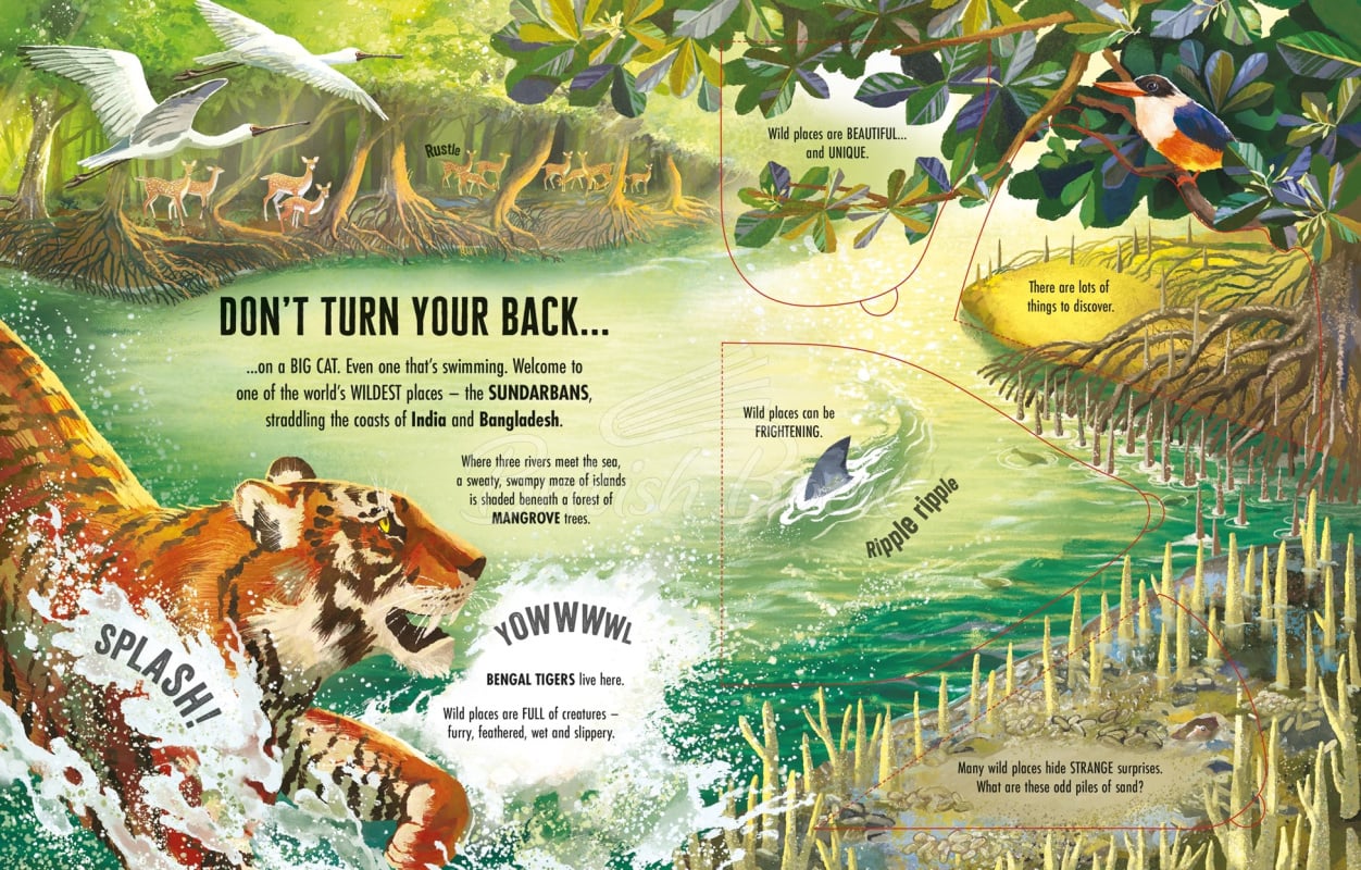 Книга See inside Wild Places зображення 1