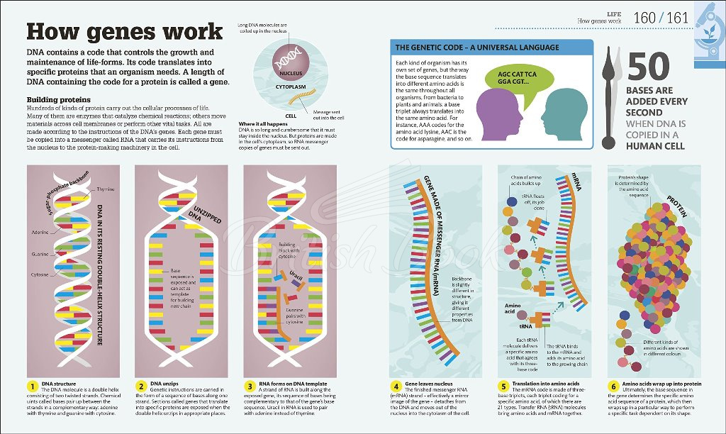 Книга How Science Works зображення 2