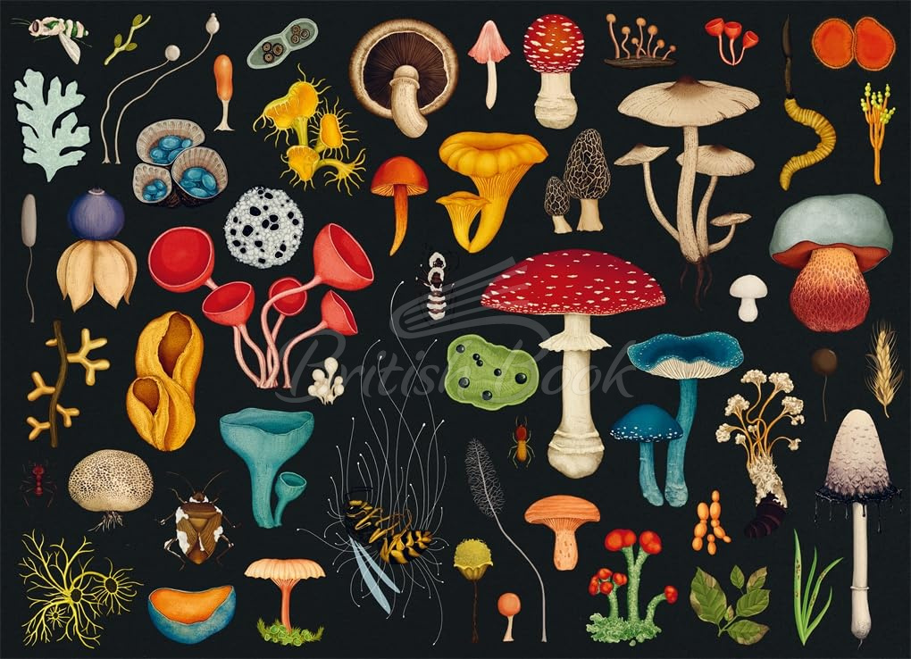 Пазл Welcome to The Museum: Fungarium 1000-Piece Jigsaw Puzzle зображення 1
