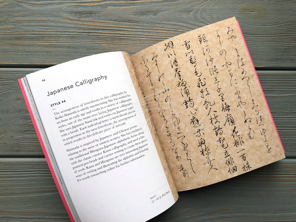 Книга The Calligraphy Ideas Book изображение 6