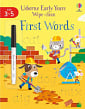 Usborne Early Years Wipe-Clean: First Words