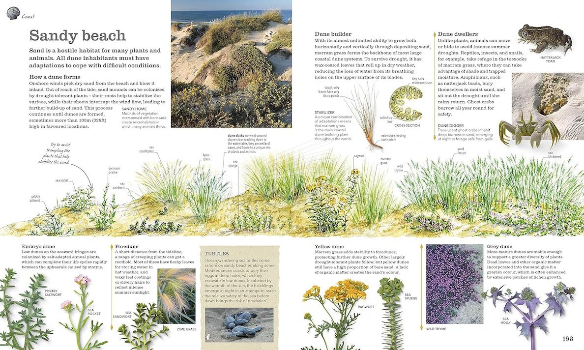 Книга Chris Packham's Nature Handbook зображення 8