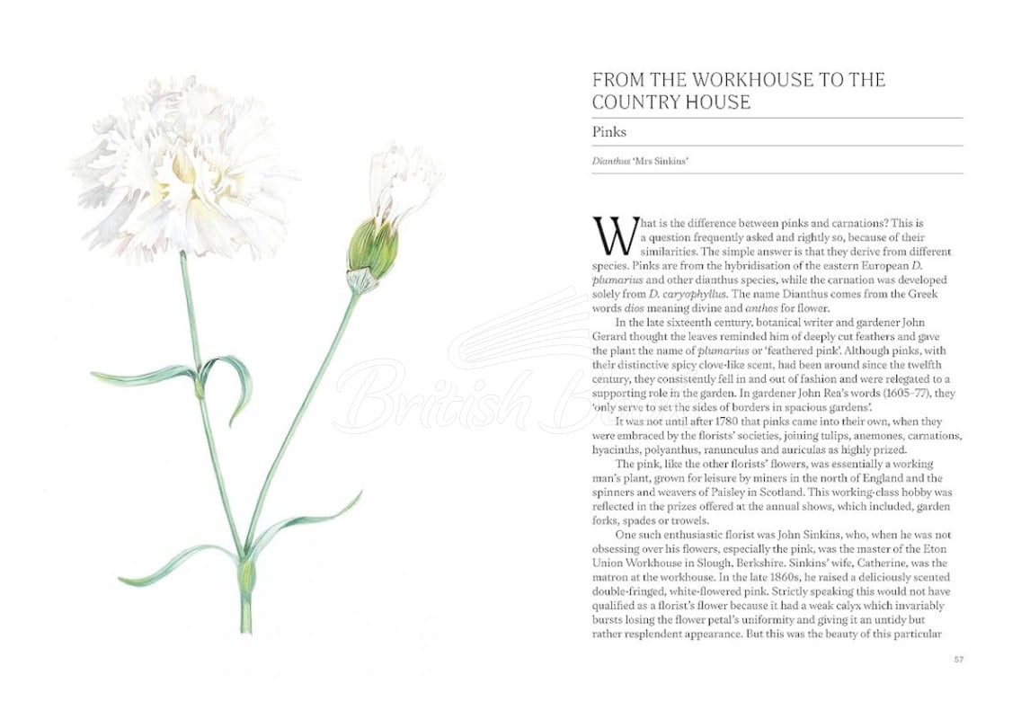 Книга A Short History of Flowers зображення 5