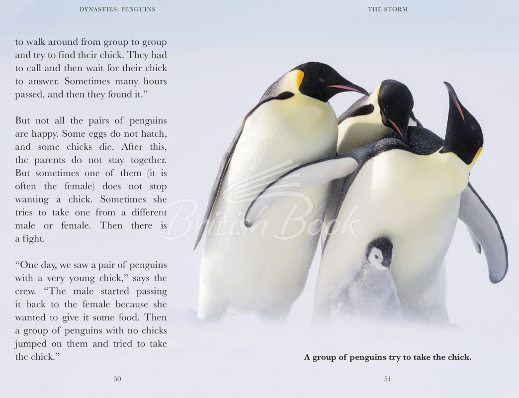 Книга Penguin Readers Level 2 Dynasties: Penguins изображение 1