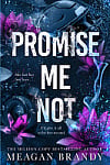 Promise Me Not (Book 2)