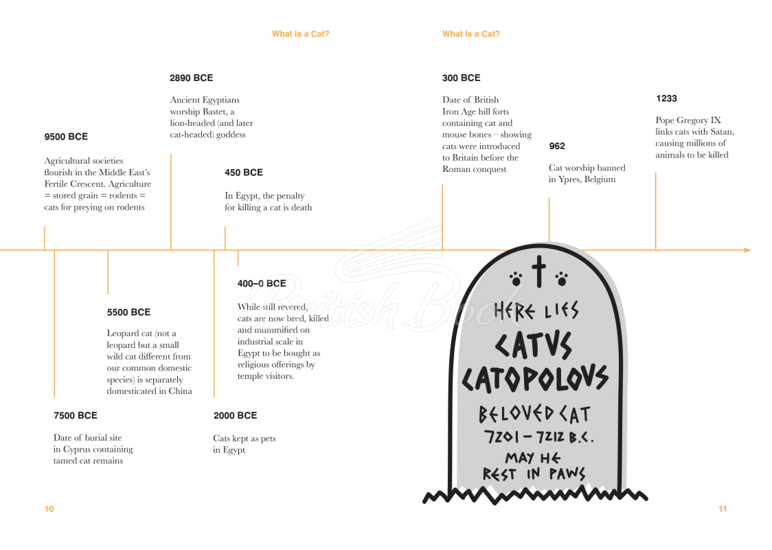 Книга Catology: The Weird and Wonderful Science of Cats изображение 5
