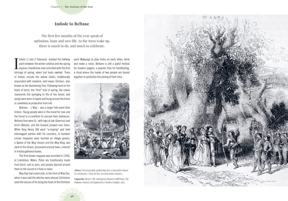 Книга Kew: Witch's Forest зображення 1