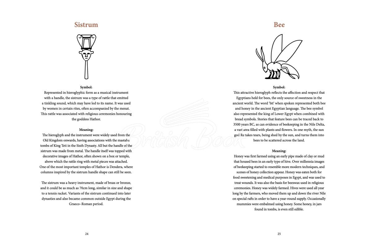 Книга Ancient Egyptian Hieroglyphs Illustrated зображення 2