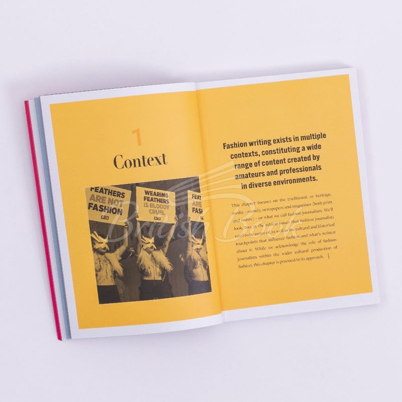 Книга Fashion Writing изображение 2