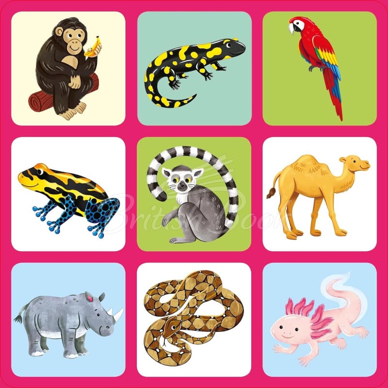 Настольная игра Zoo Matching Games and Book изображение 3