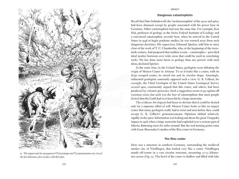 Книга When Life Nearly Died: The Greatest Mass Extinction of All Time изображение 8