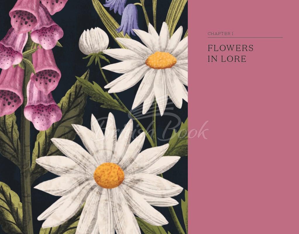 Книга The Hidden Histories of Flowers зображення 2