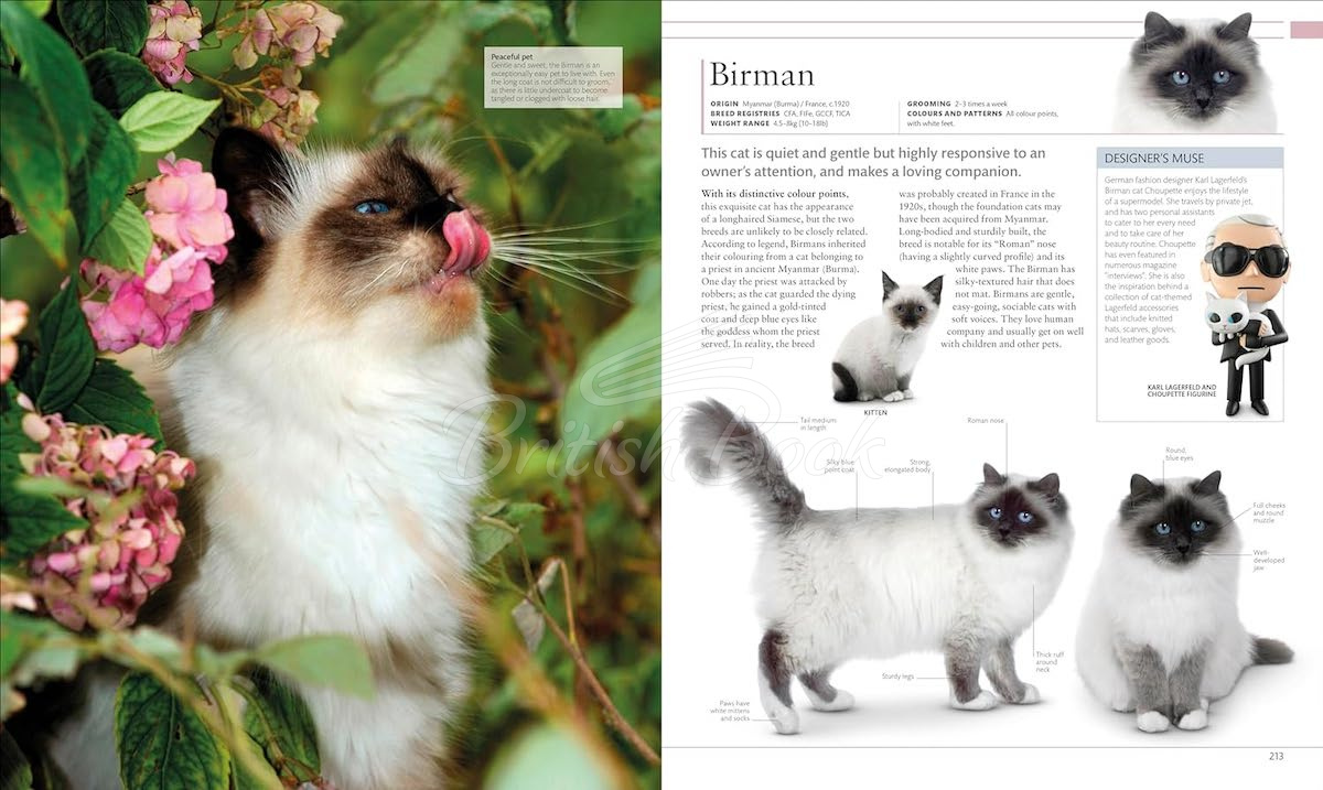 Книга The Cat Encyclopedia изображение 9