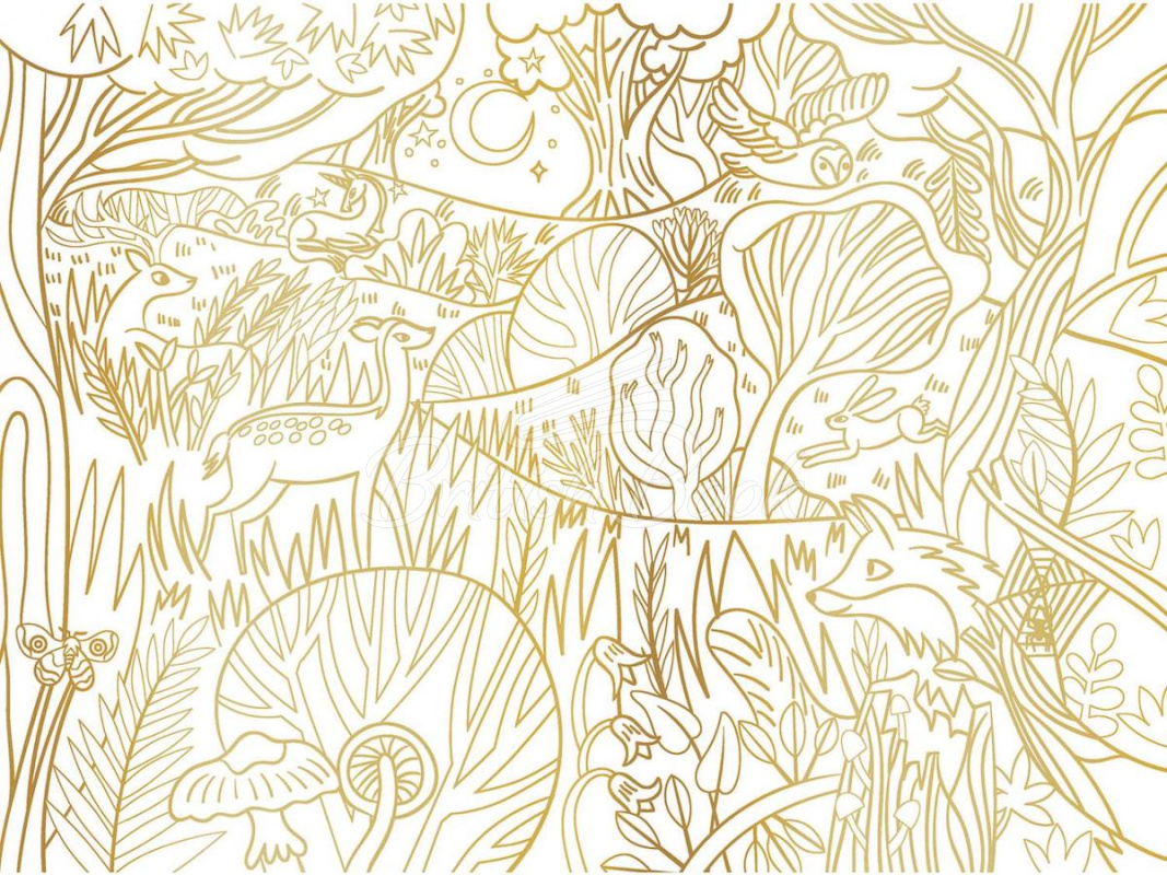 Книга Enchanted Paintings to Colour зображення 2