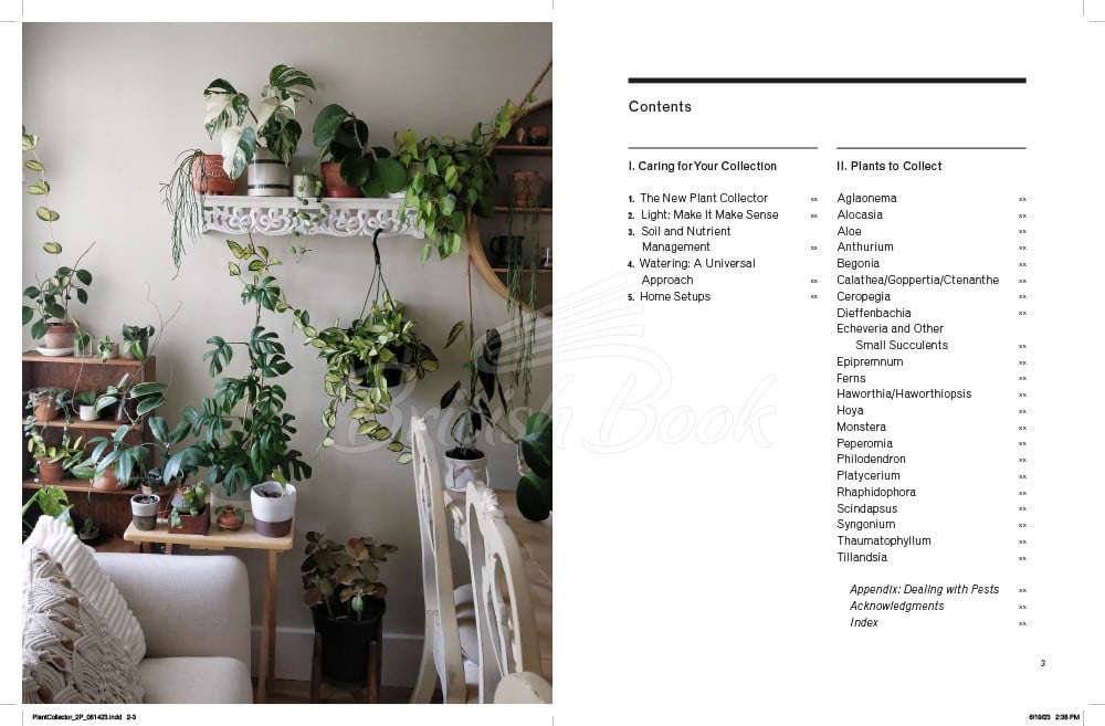 Книга The New Plant Collector зображення 1