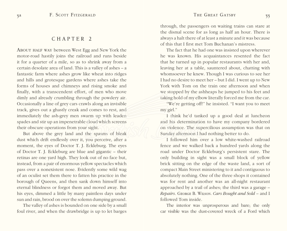Книга The Great Gatsby изображение 1