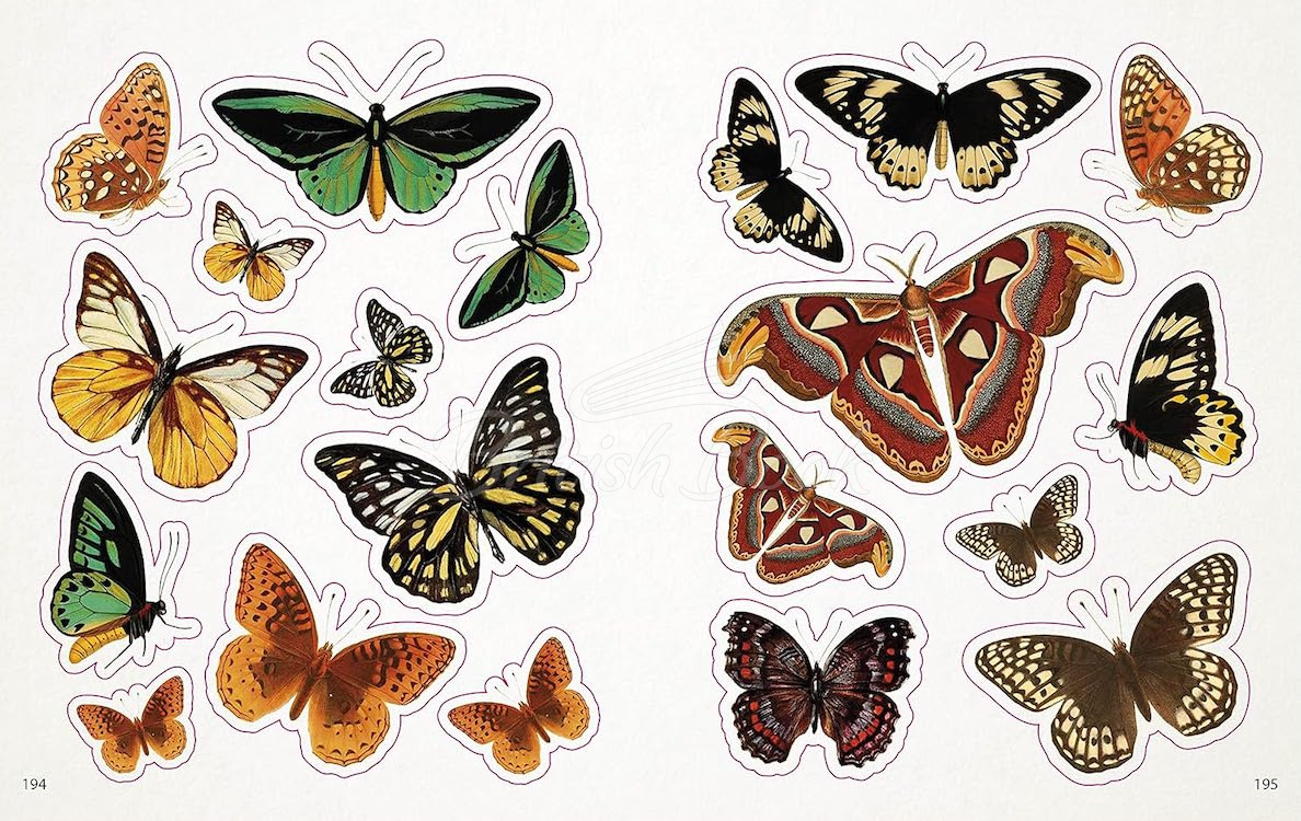 Книга The Bees, Birds, and Butterflies Sticker Anthology зображення 8