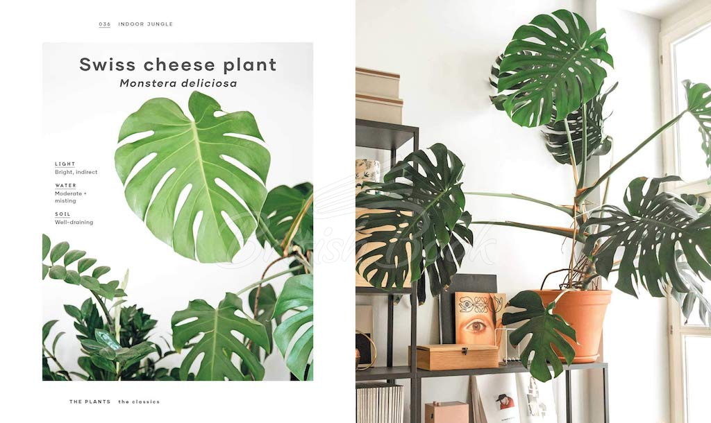 Книга The Leaf Supply Guide to Creating Your Indoor Jungle изображение 3