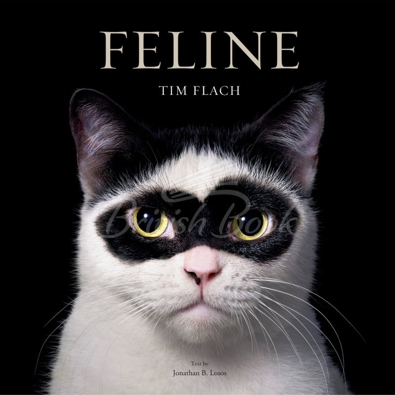 Книга Feline: Photographs изображение