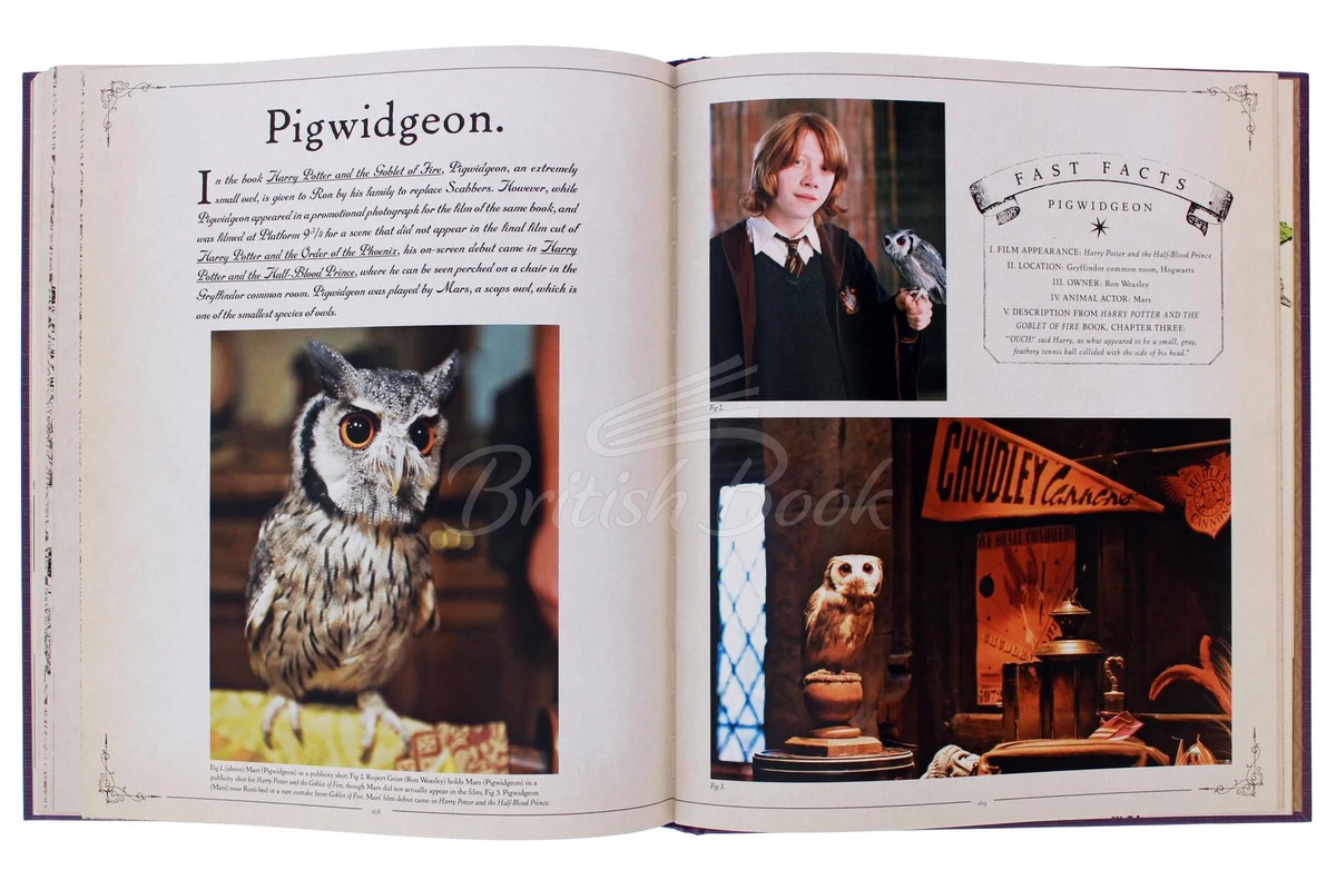 Книга Harry Potter: The Creature Vault зображення 3