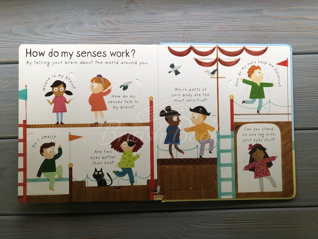 Книга Lift-the-Flap First Questions and Answers: How Do I See? изображение 8