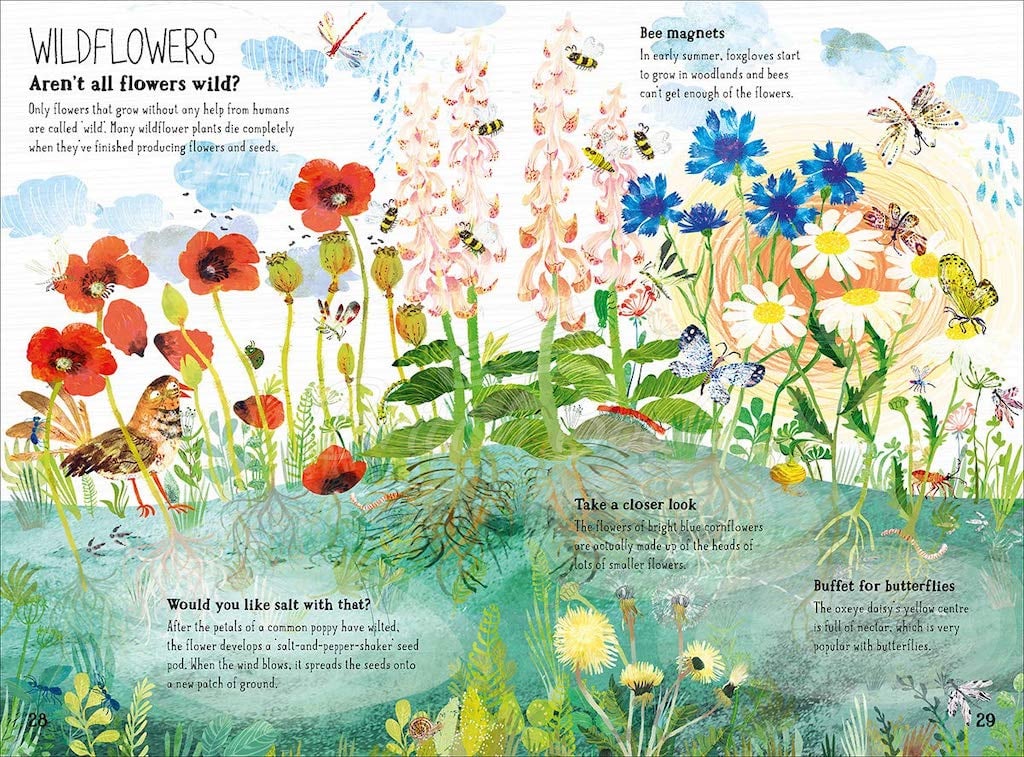 Книга The Big Book of Blooms изображение 5