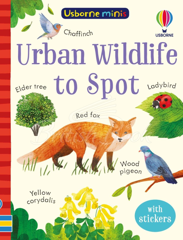 Книга Urban Wildlife to Spot зображення
