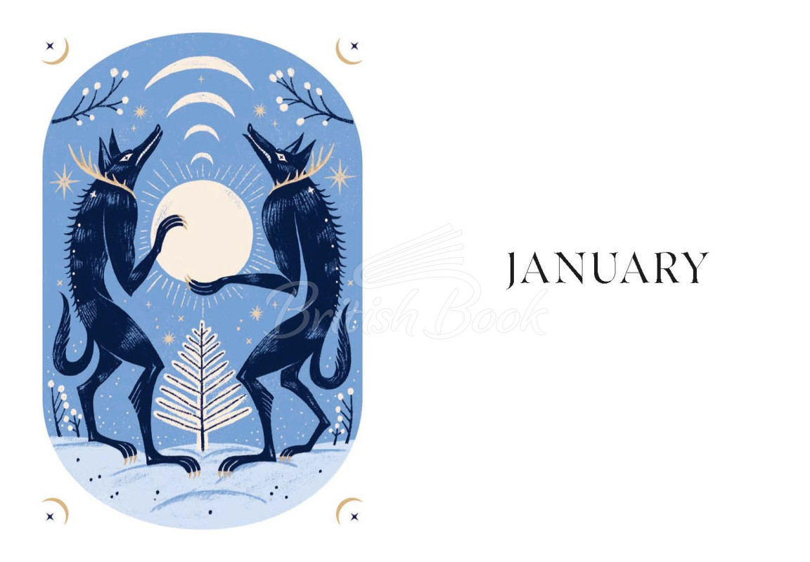 Книга The Lunar Year: Moon Magic Through the Seasons зображення 2
