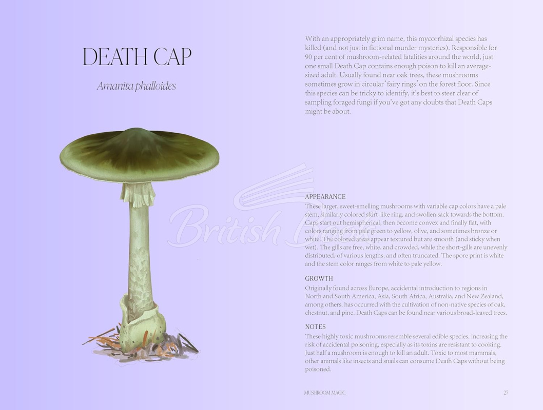 Книга Mushroom Magic зображення 5