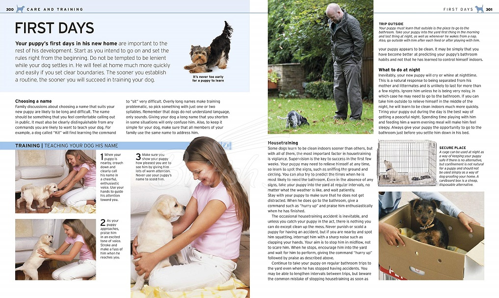 Книга The Complete Dog Breed Book изображение 6