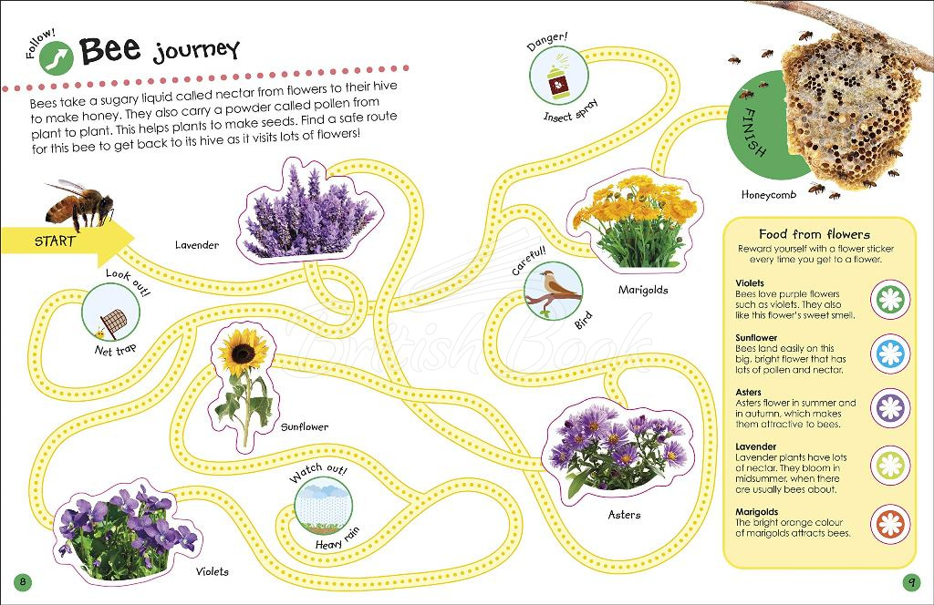 Книга The Ultimate Sticker Book: Bugs изображение 2