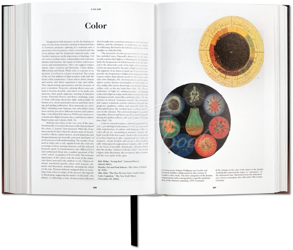 Книга The Book of Symbols: Reflections on Archetypal Images зображення 2