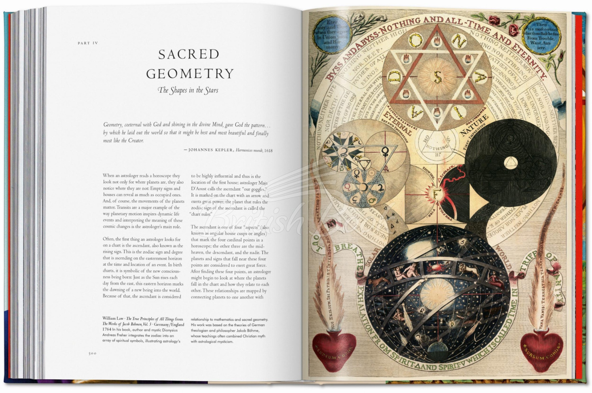 Книга Astrology. The Library of Esoterica зображення 12
