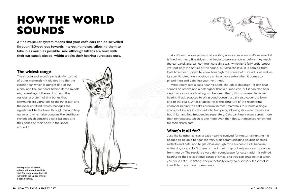 Книга How to Raise a Happy Cat изображение 1