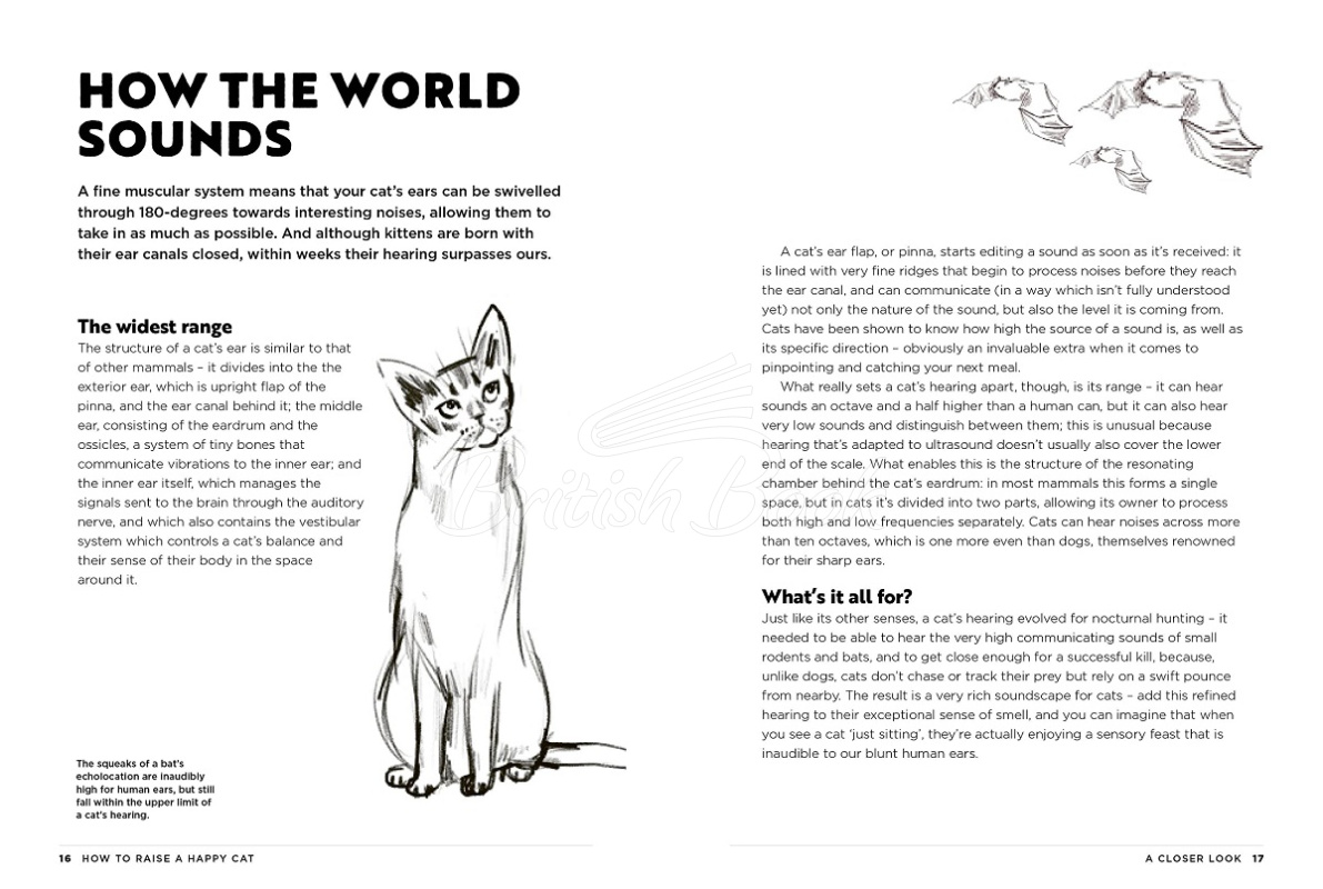 Книга How to Raise a Happy Cat зображення 1