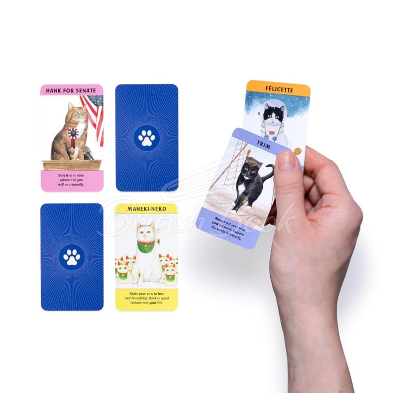 Карточки Cat Gurus изображение 4