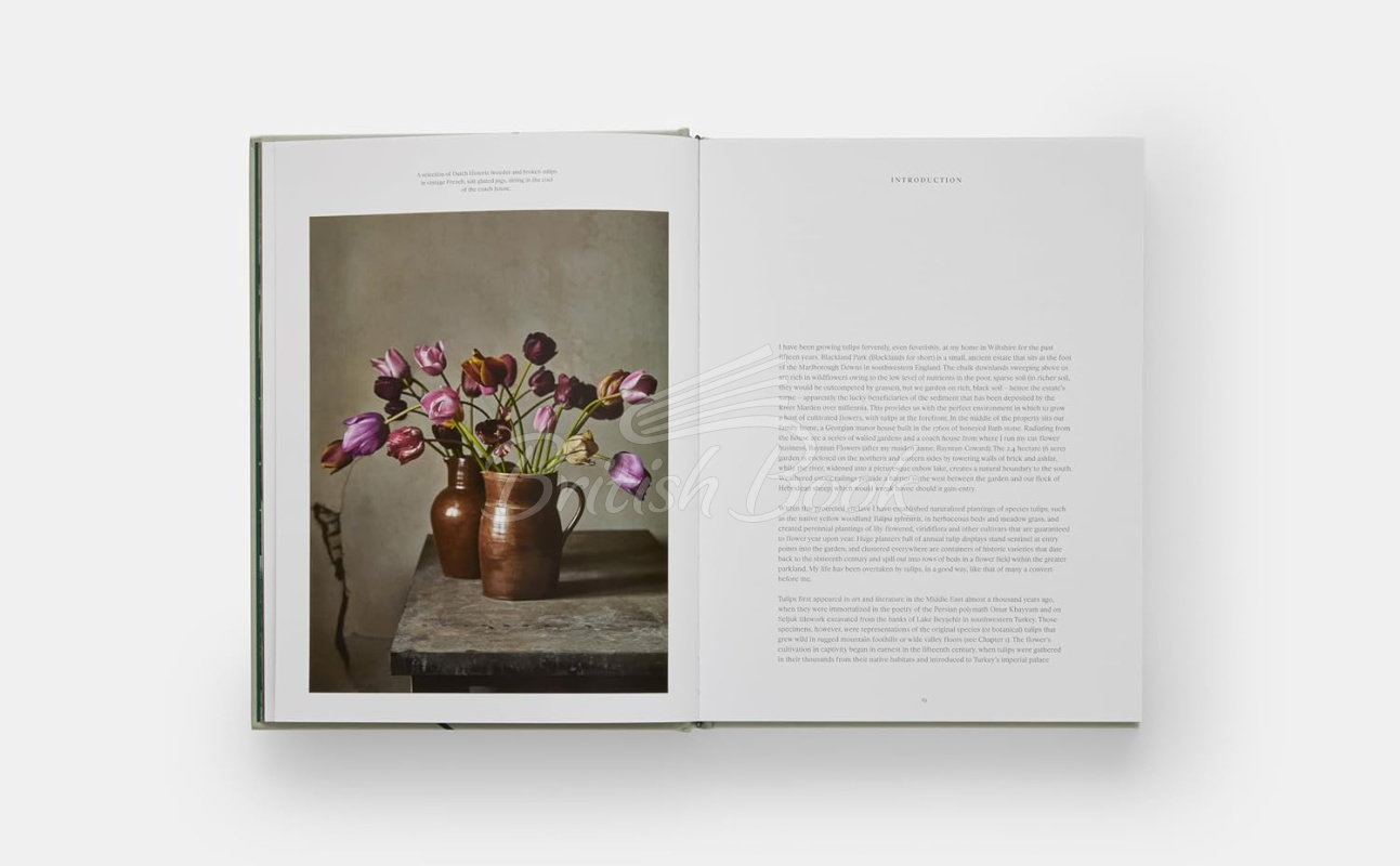 Книга The Tulip Garden изображение 2