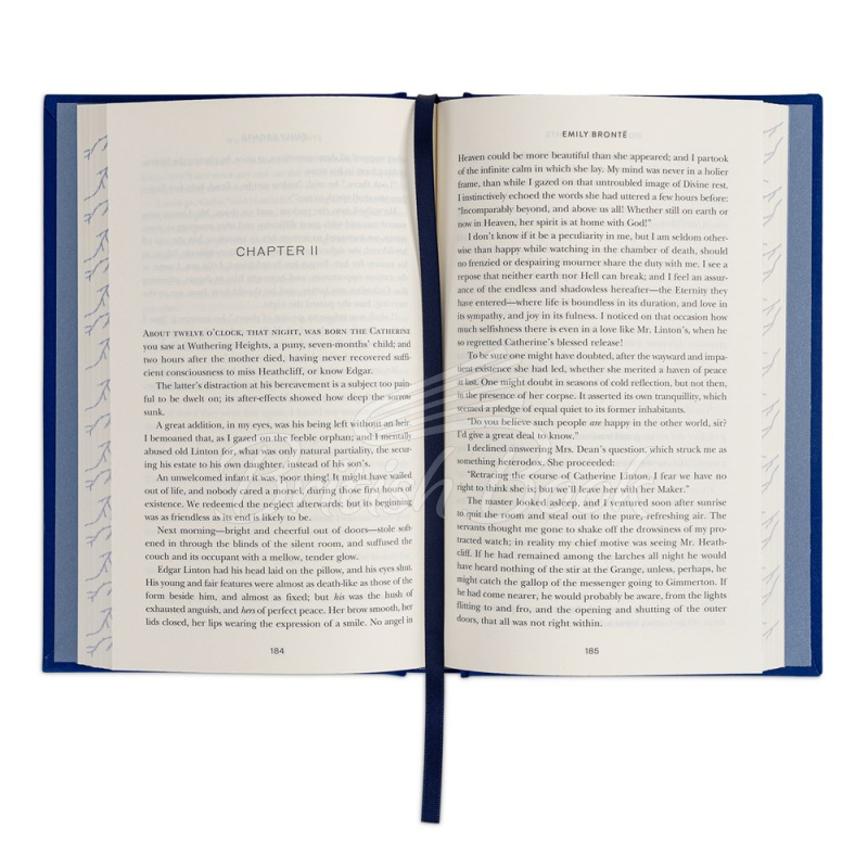 Книга Wuthering Heights зображення 5