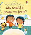 Lift-the-Flap Very First Questions and Answers: Why Should I Brush My Teeth?