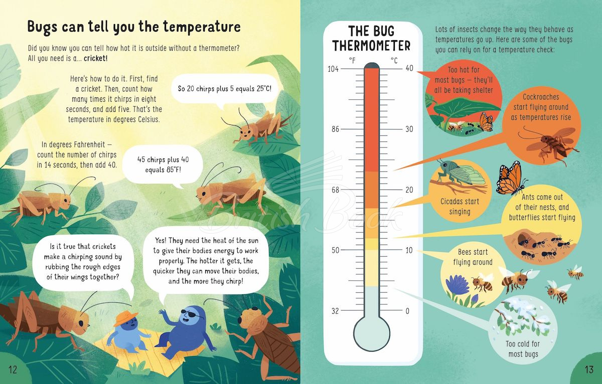 Книга Lots of Things to Know About Weather изображение 2