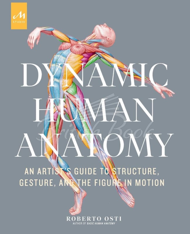 Книга Dynamic Human Anatomy: An Artist's Guide to Structure, Gesture, and the Figure in Motion зображення