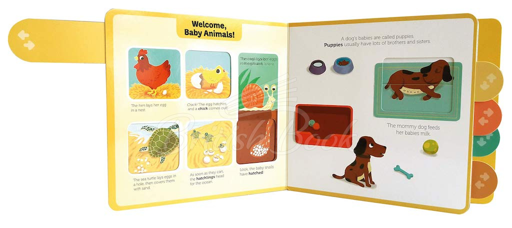 Книга PlayTabs: Baby Animals зображення 1